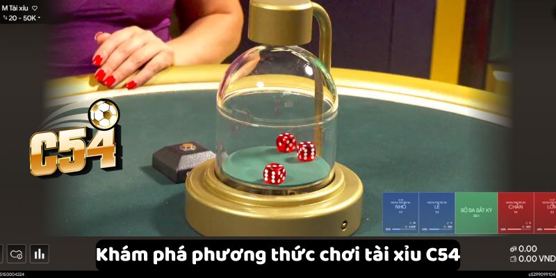 Khám phá phương thức chơi tài xỉu C54